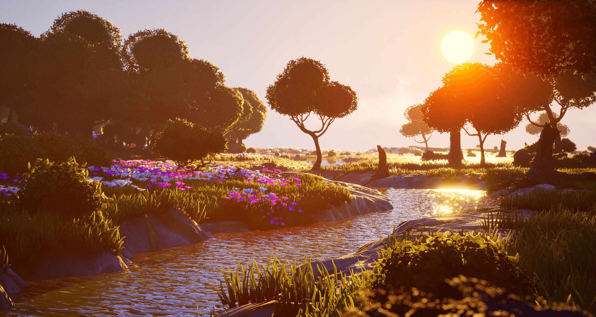 Creek at golden hour